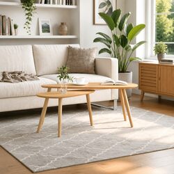 Scandinavian Coffee Table Set 2 Pieces in Brown