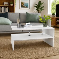 Two-Shelf Coffee Table in White with Stainless Steel