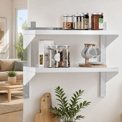 Efficient 2-Tier Wall Shelf in Silver Stainless Steel