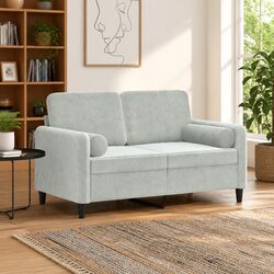Light Grey Velvet 2-Seater Sofa with Metal Frame and Pillows