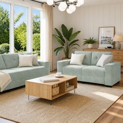 Grey Velvet Two-Piece Sofa Set with Cushions