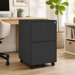 2-Drawer Mobile Filing Cabinet in Anthracite Steel