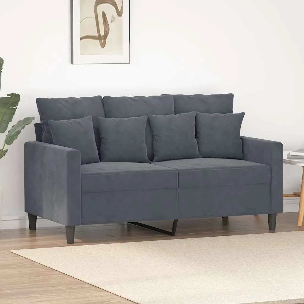 2-Seater Sofa Grey Velvet 120cm Modern Living Room Couch Upholstered Furniture