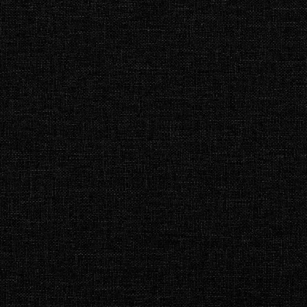 2-Seater Sofa Black 120cm Fabric Living Room Couch Armrest Back Cushions Modern