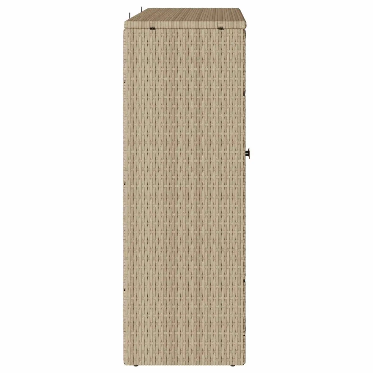 Rattan Beige Rectangular Storage Cabinet with Adjustable Shelves for Living Room Furniture