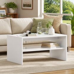 Rectangular Coffee Table with Integrated Shelf Storage