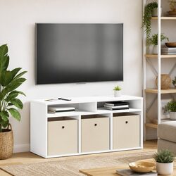 Modern Lowboard TV Unit with Drawer and Storage