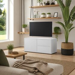 Engineered Wood TV Cabinet in White with Storage Features