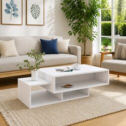 Engineered Wood Coffee Table with Storage Compartments