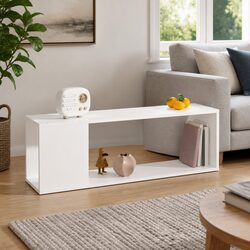 Engineered Wood TV Cabinet with Two Shelves in White