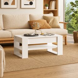 Storage Shelf Coffee Table in White Engineered Wood