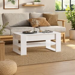 Functional White Gloss Coffee Table with Storage Shelf