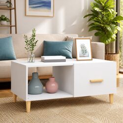 Engineered Wood Coffee Table with Dual Storage Compartments