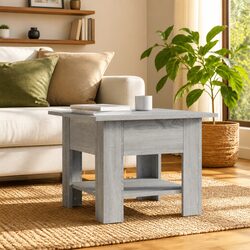 Engineered Wood Coffee Table with Storage Shelf in Grey