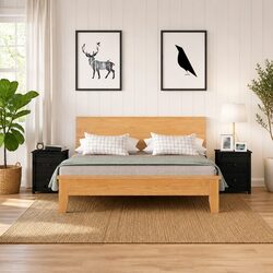2-Piece Bedside Cabinet Set in Black Pine Wood