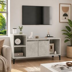 Engineered Wood TV Cabinet in Grey with Storage Solutions