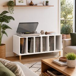 White Engineered Wood Record Storage Cabinet