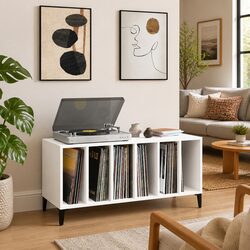 White Record Cabinet with Engineered Wood and Metal Legs