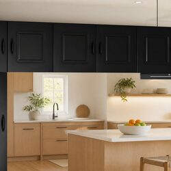 Engineered Wood Kitchen Cabinet with Dishwasher Panel