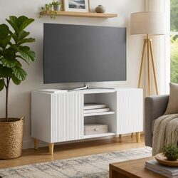 TV Cabinet in White with Swing Doors for Media Storage