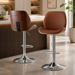 Bar Stools Set of 2 with Bentwood Backrest and Metal Frame