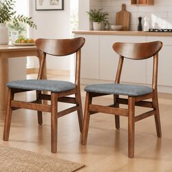 Stylish Brown Dining Chairs 2 Pack for Modern Homes
