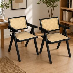 Modern Black Rattan Backrest Wicker Armchair Set