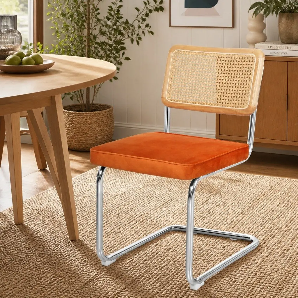 Rattan Dining Chair Set of 4 with PE Backrest