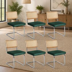 Dining Chairs Set of 6 with Steel Frame and PE Rattan Backrest