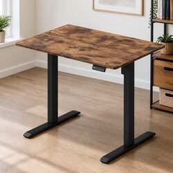 Electric Standing Desk with Adjustable Height 72-116cm