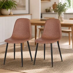 Retro Dining Chairs Set of 2 with Metal Legs