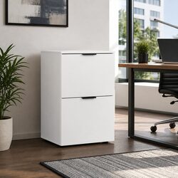 Functional 2-Drawer Filing Cabinet for Documents