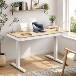 120cm Height Adjustable Electric Sit Stand Desk in Walnut