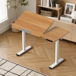 Electric Height Adjustable Desk with Tilting Top
