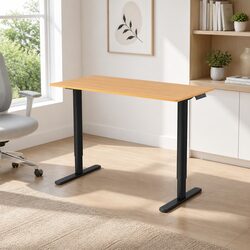 120cm Motorised Sit Stand Desk with Height Adjustment