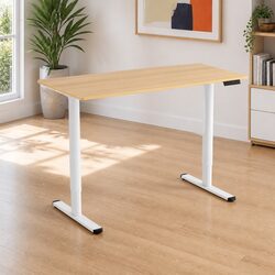 Height Adjustable Electric Desk 120cm with Motor