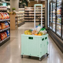 Collapsible Shopping Trolley Cart for Groceries
