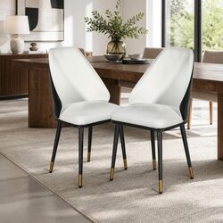 Dining Chairs Set of 2 in Beige and Black with Steel Frame