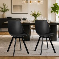 Modern Dining Chairs Set of 2 with Steel Legs